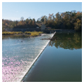 Photo 2 of Dam 4