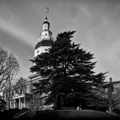 2023 Newly repainted dome