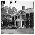 Photo 2 of Tulip Hill