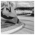Photo 4 of Columbia