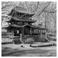 Photo 2 of Forest Glen Pagoda
