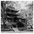Photo 7 of Forest Glen Pagoda