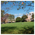 Photo 3 of KENTLANDS