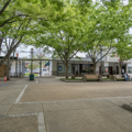 Photo 4 of Roosevelt Center