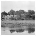 Environmental setting