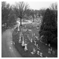 Photo 6 of Green Mount Cemetery