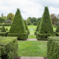 Photo 9 of LADEW TOPIARY GARDENS