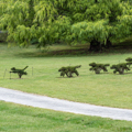 Photo 11 of LADEW TOPIARY GARDENS