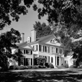 Photo 5 of WYE HOUSE AND PLANTATION