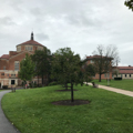 Photo 13 of NATIONAL SHRINE OF SAINT ELIZABETH ANN SETON