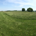 Battlefield (with Dunker Church at far left)