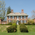 Photo 7 of TULIP HILL