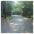 Photo 4 of Acadia National Park Carriage Roads