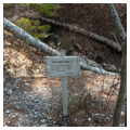 Photo 2 of Damariscotta Oyster Shell Heaps