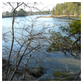 Photo 3 of Damariscotta Oyster Shell Heaps