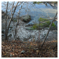 Photo 4 of Damariscotta Oyster Shell Heaps