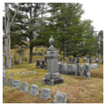 Photo 2 of Mount Hope Cemetery