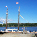 Photo 7 of Percy and Small Shipyard