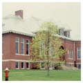 L.C. Bates Museum