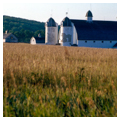 Photo 2 of D. H. Day Farmstead (Oswegatchie)