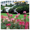 Photo 5 of Grand Hotel