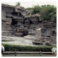 Photo 2 of Detroit Zoological Park