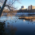 Loring Park Lake