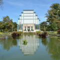 Jewel Box