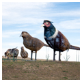 "Pheasants on the Prairie"