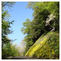 Photo 5 of Mill Creek Park