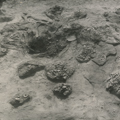 Small Pit, Potsherds, Ear-spools