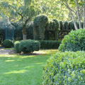 Photo 4 of Deepwood Estate