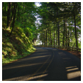 Photo 3 of Historic Columbia River Highway No. 100