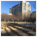 The Park Blocks