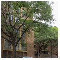 Photo 13 of Highland Towers