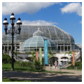 Photo 2 of Phipps Conservatory