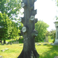 Photo 9 of Allegheny Cemetery