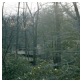 Photo 9 of Fallingwater
