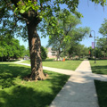 Photo 8 of Gettysburg College