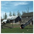 Kauffman Farm