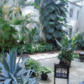 Photo 5 of Longwood Gardens