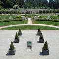 Photo 10 of Longwood Gardens