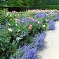 Photo 12 of Longwood Gardens