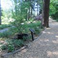 Photo 13 of Longwood Gardens