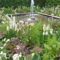 Photo 14 of Longwood Gardens