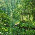Photo 15 of Longwood Gardens
