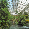 Photo 20 of Longwood Gardens
