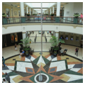 Photo 2 of King of Prussia Mall and The Courts at King of Prussia
