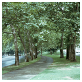 Fairmount Park