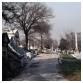 Laurel Hill Cemetery